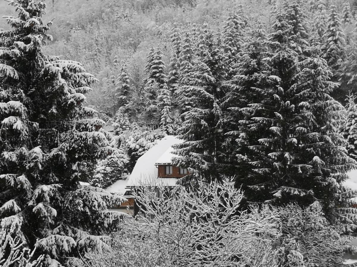 B4 Albmatte Apartment Menzenschwand Exterior photo